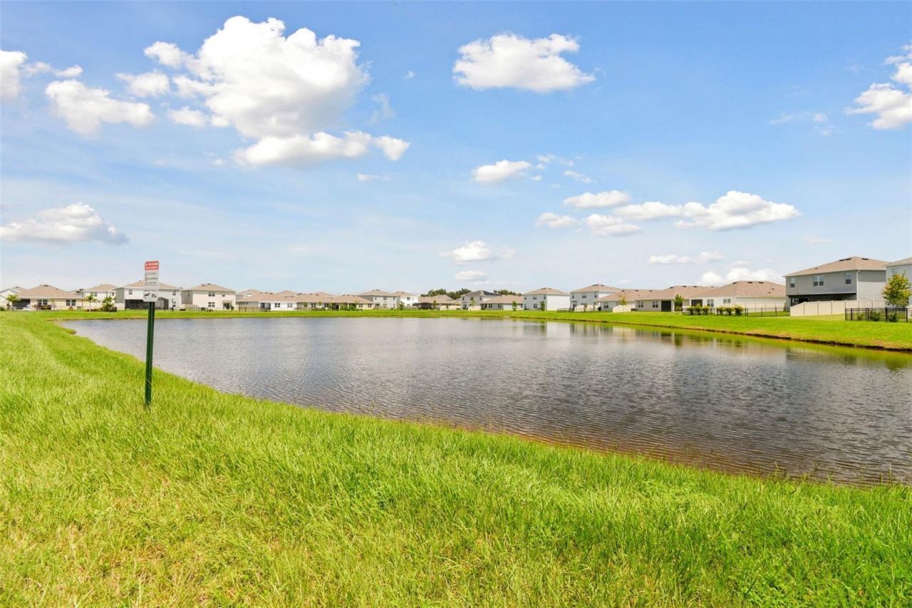 33405 Hamilton Hill Lane, Wesley Chapel, FL 33545 Photo