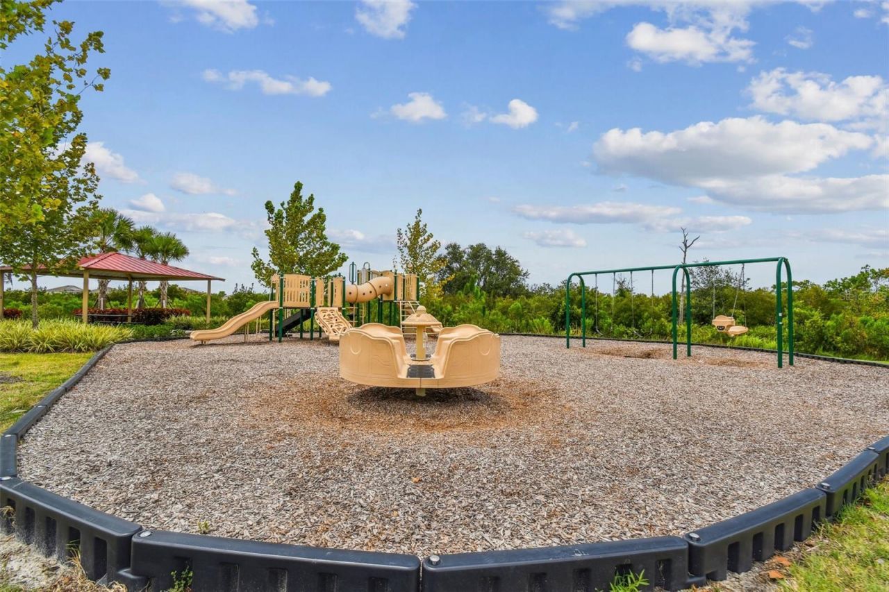 33405 Hamilton Hill Lane, Wesley Chapel, FL 33545 Photo