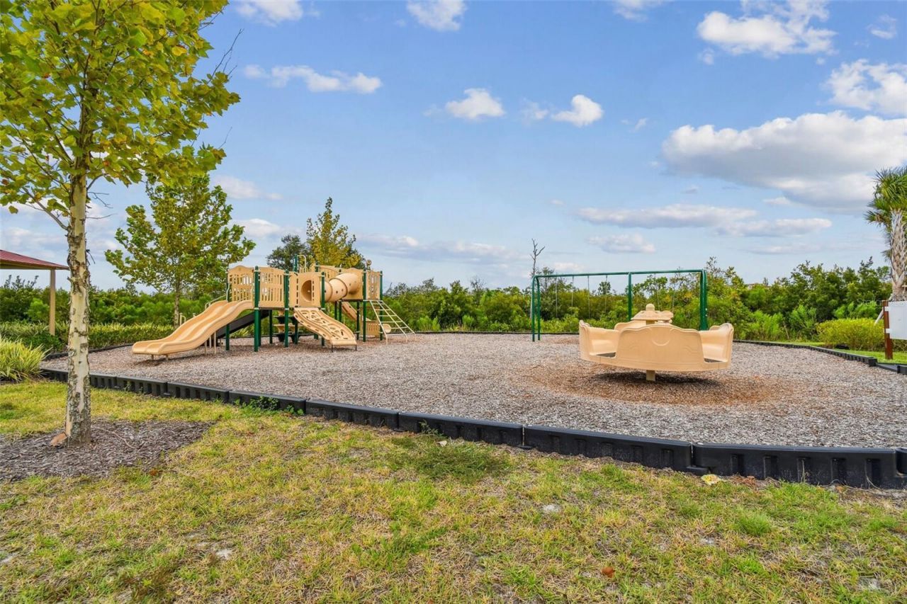 33405 Hamilton Hill Lane, Wesley Chapel, FL 33545 Photo