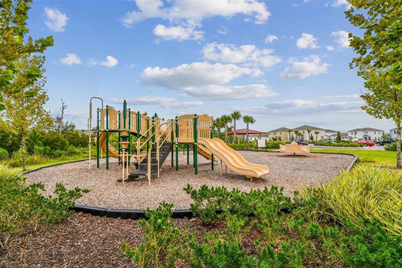 33405 Hamilton Hill Lane, Wesley Chapel, FL 33545 Photo
