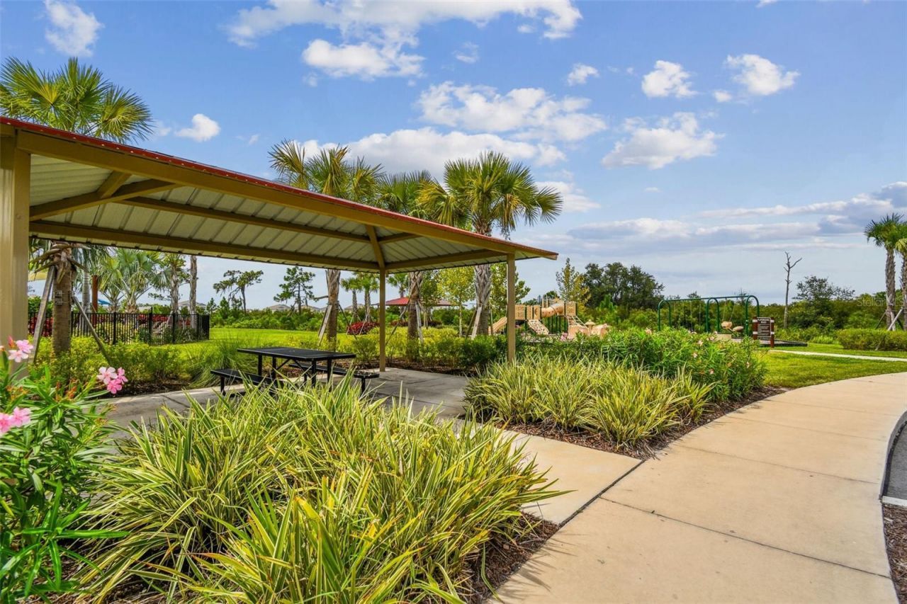 33405 Hamilton Hill Lane, Wesley Chapel, FL 33545 Photo