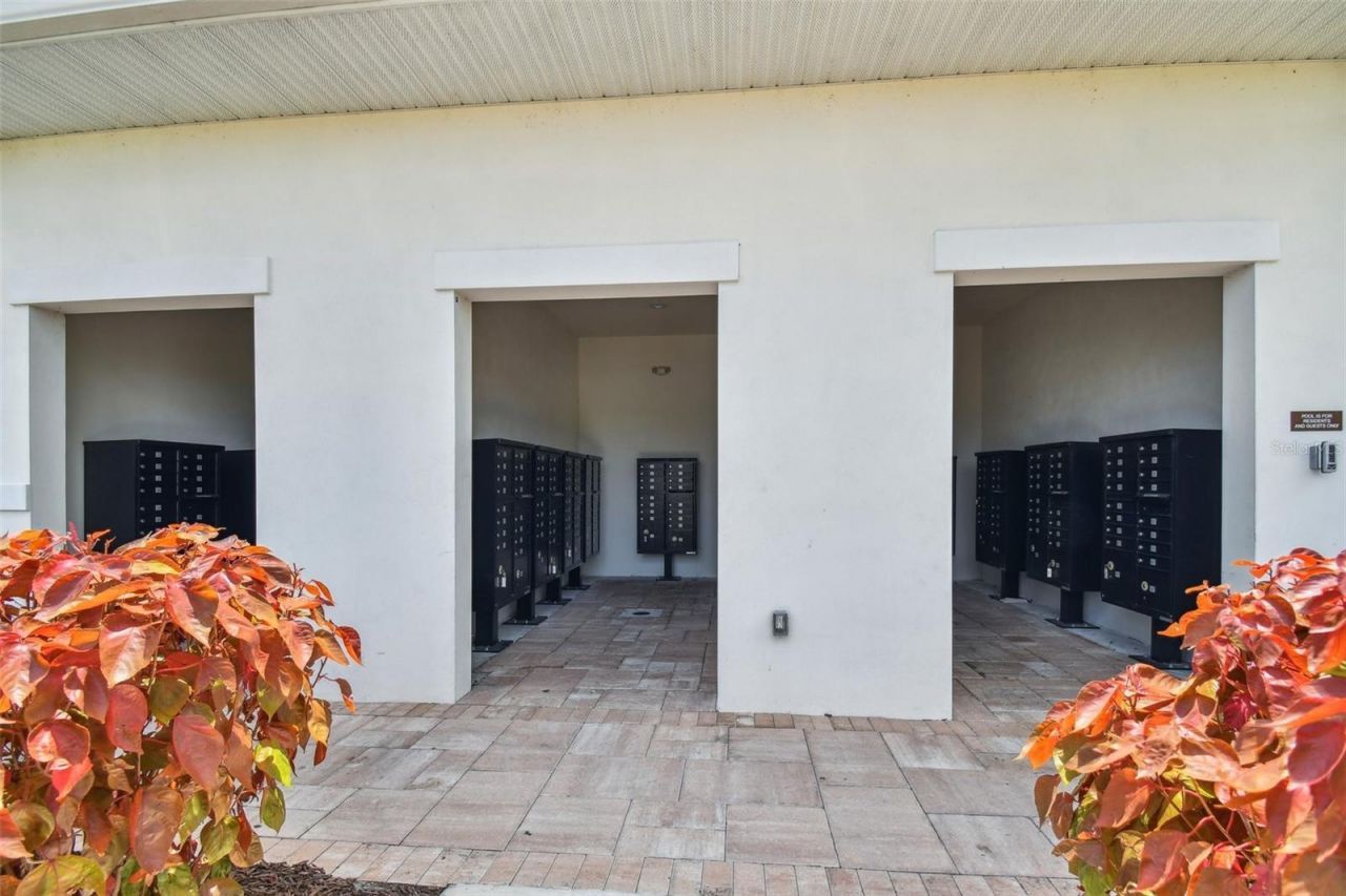 33405 Hamilton Hill Lane, Wesley Chapel, FL 33545 Photo