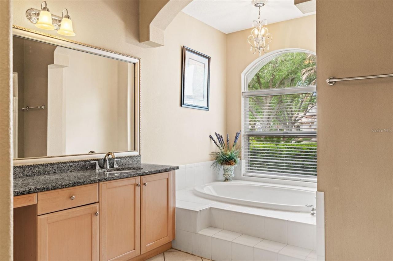 17905 Arbor Greene Drive, Tampa, FL 33647 Photo
