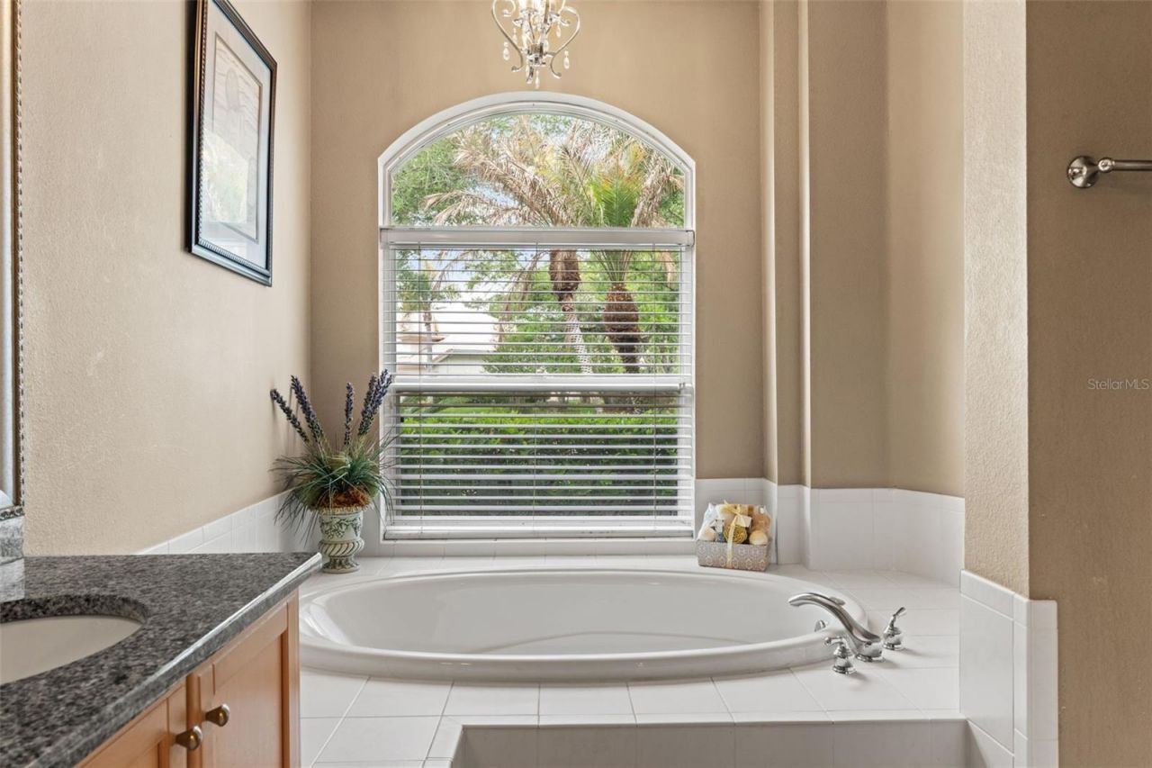 17905 Arbor Greene Drive, Tampa, FL 33647 Photo