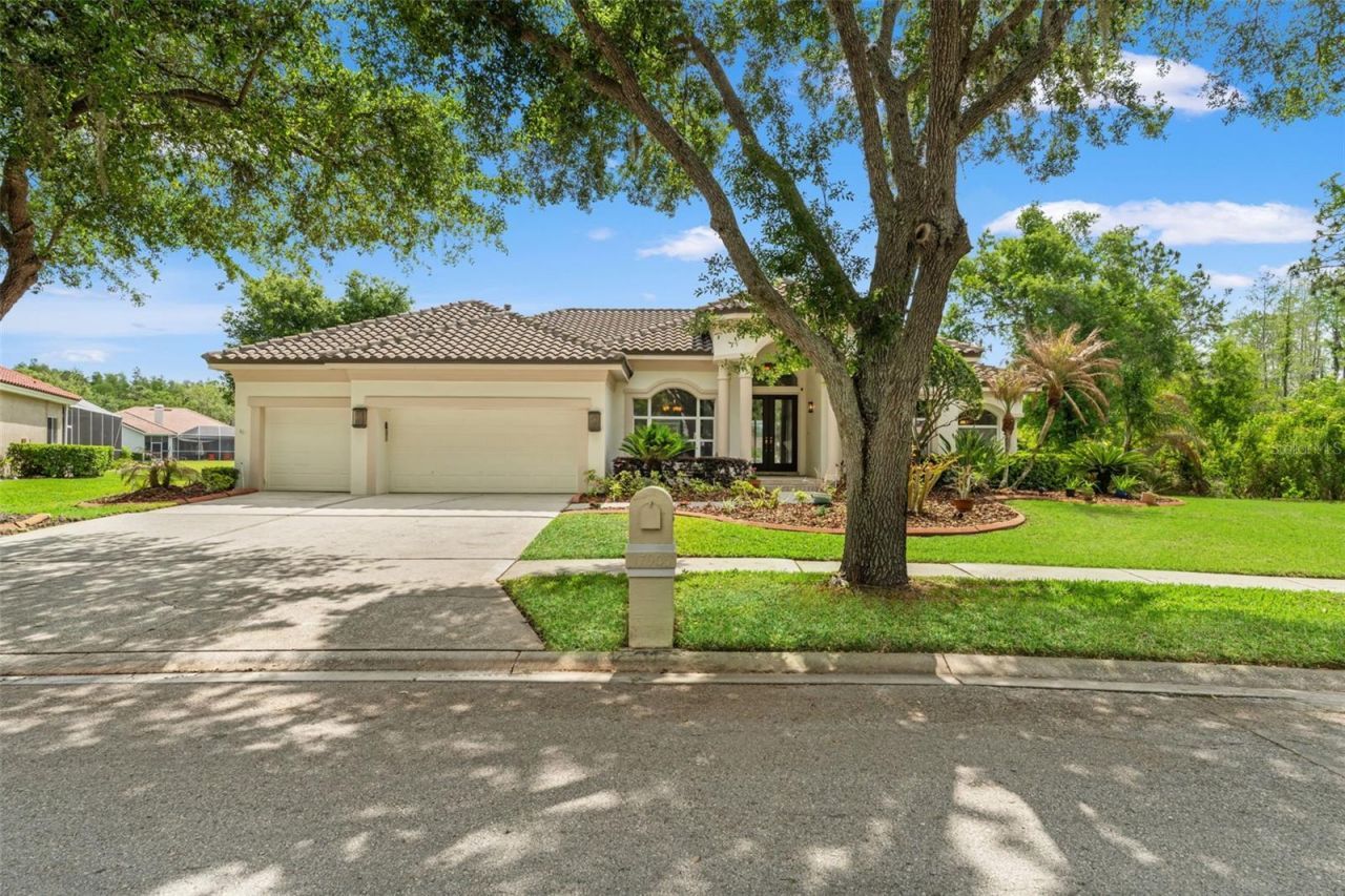 17905 Arbor Greene Drive, Tampa, FL 33647 Photo