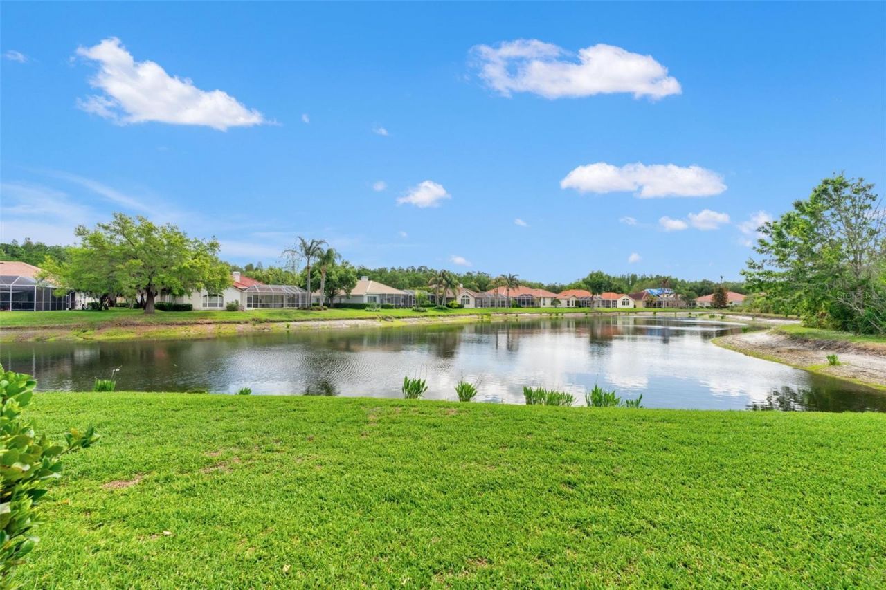 17905 Arbor Greene Drive, Tampa, FL 33647 Photo