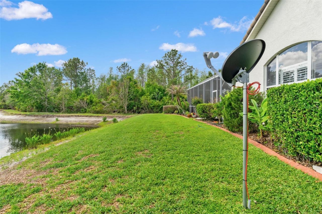 17905 Arbor Greene Drive, Tampa, FL 33647 Photo