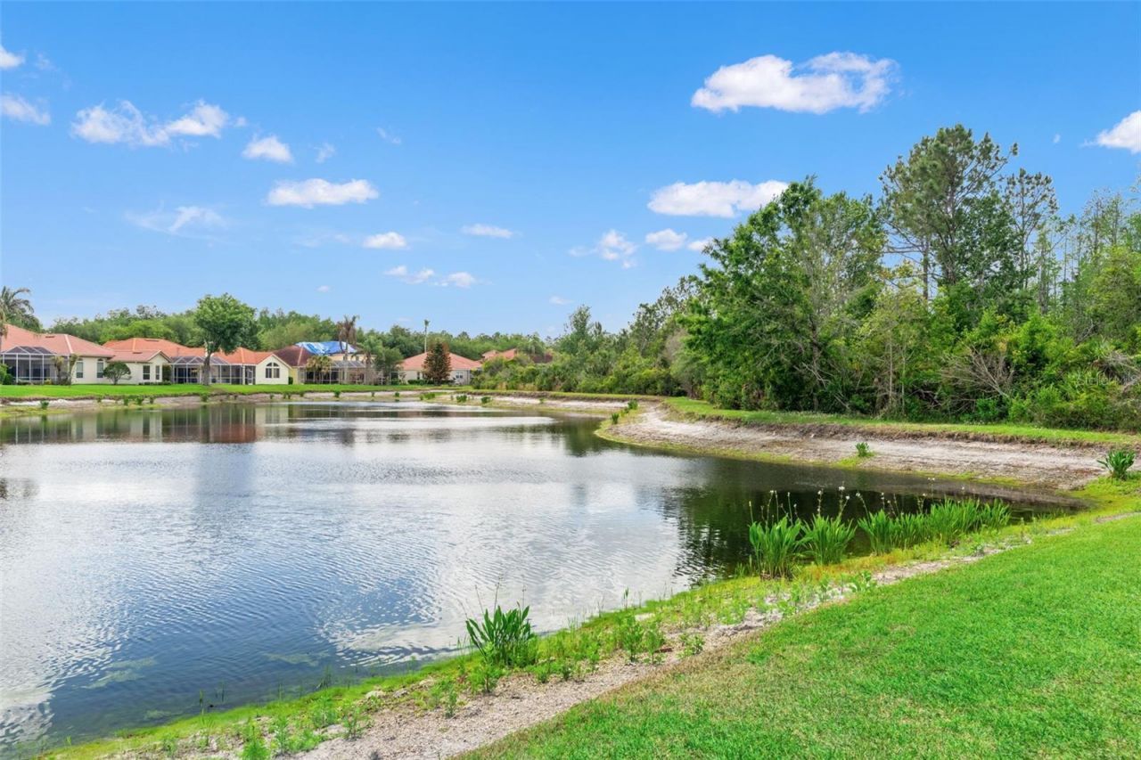 17905 Arbor Greene Drive, Tampa, FL 33647 Photo