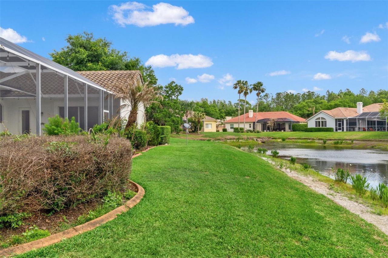 17905 Arbor Greene Drive, Tampa, FL 33647 Photo