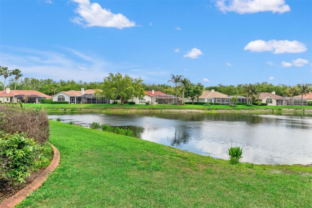 17905 Arbor Greene Drive, Tampa, FL 33647 Photo