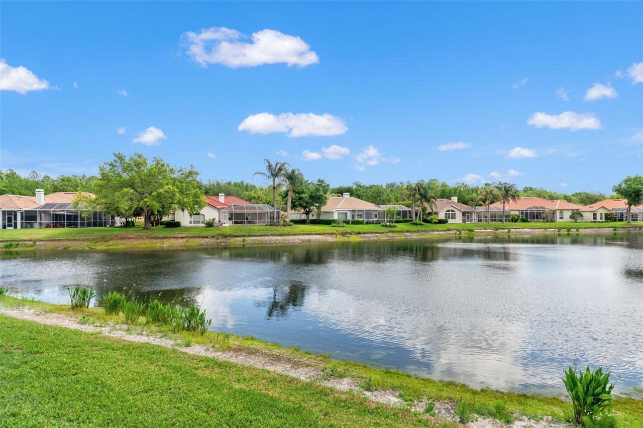 17905 Arbor Greene Drive, Tampa, FL 33647 Photo