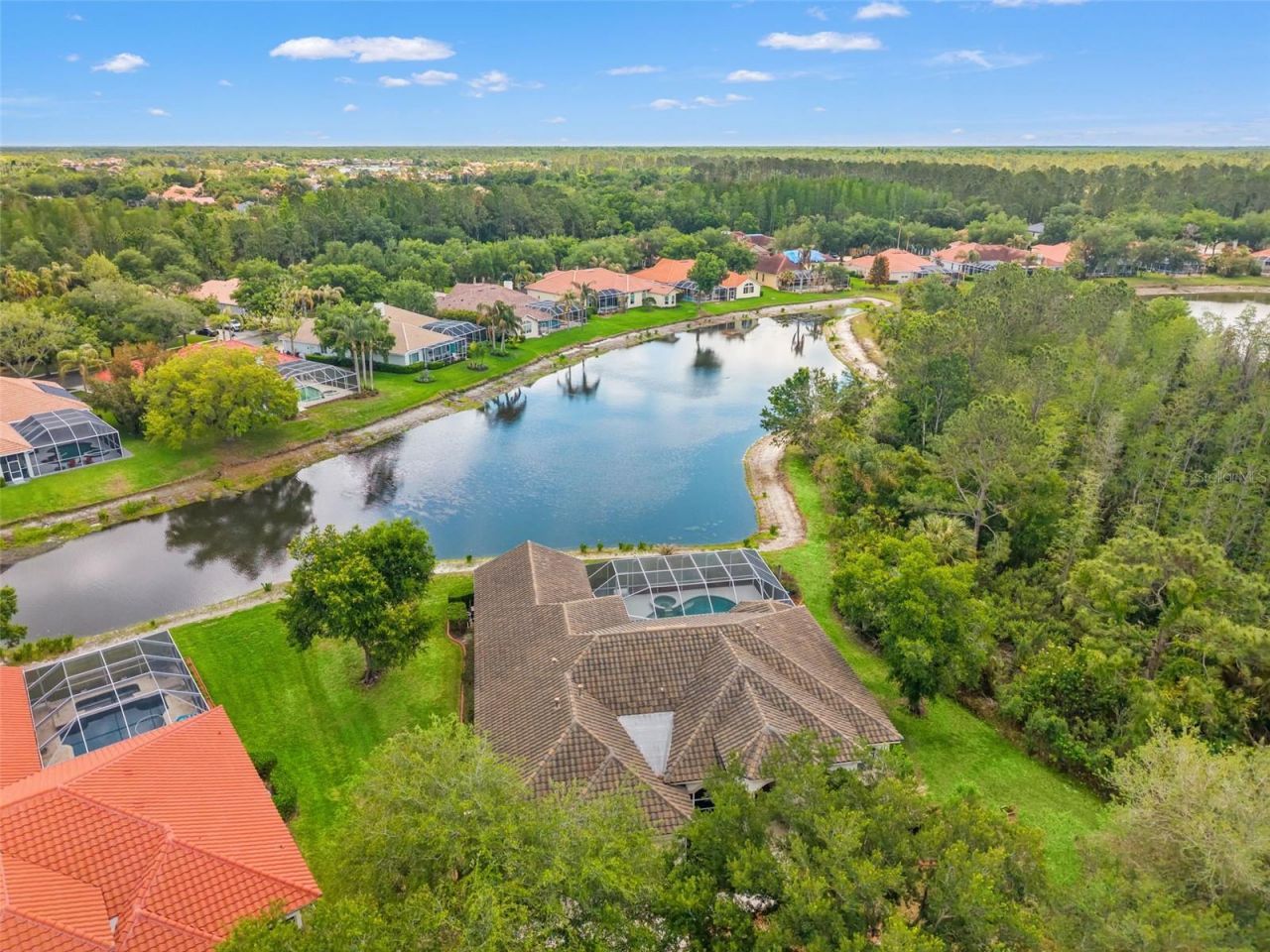 17905 Arbor Greene Drive, Tampa, FL 33647 Photo