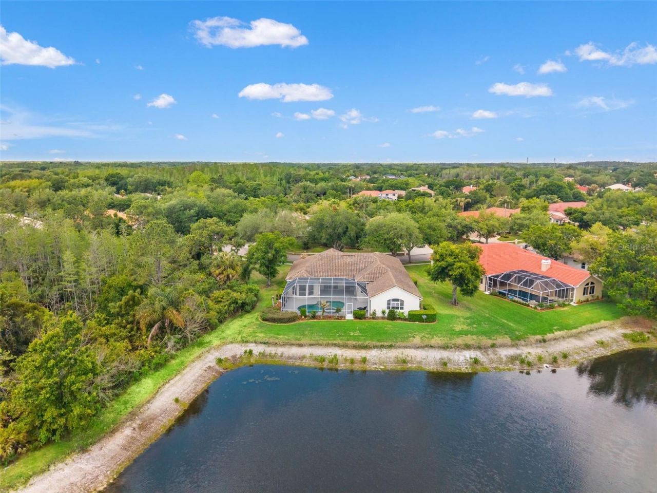 17905 Arbor Greene Drive, Tampa, FL 33647 Photo