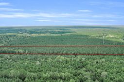 00 Jedburg Road photo 4