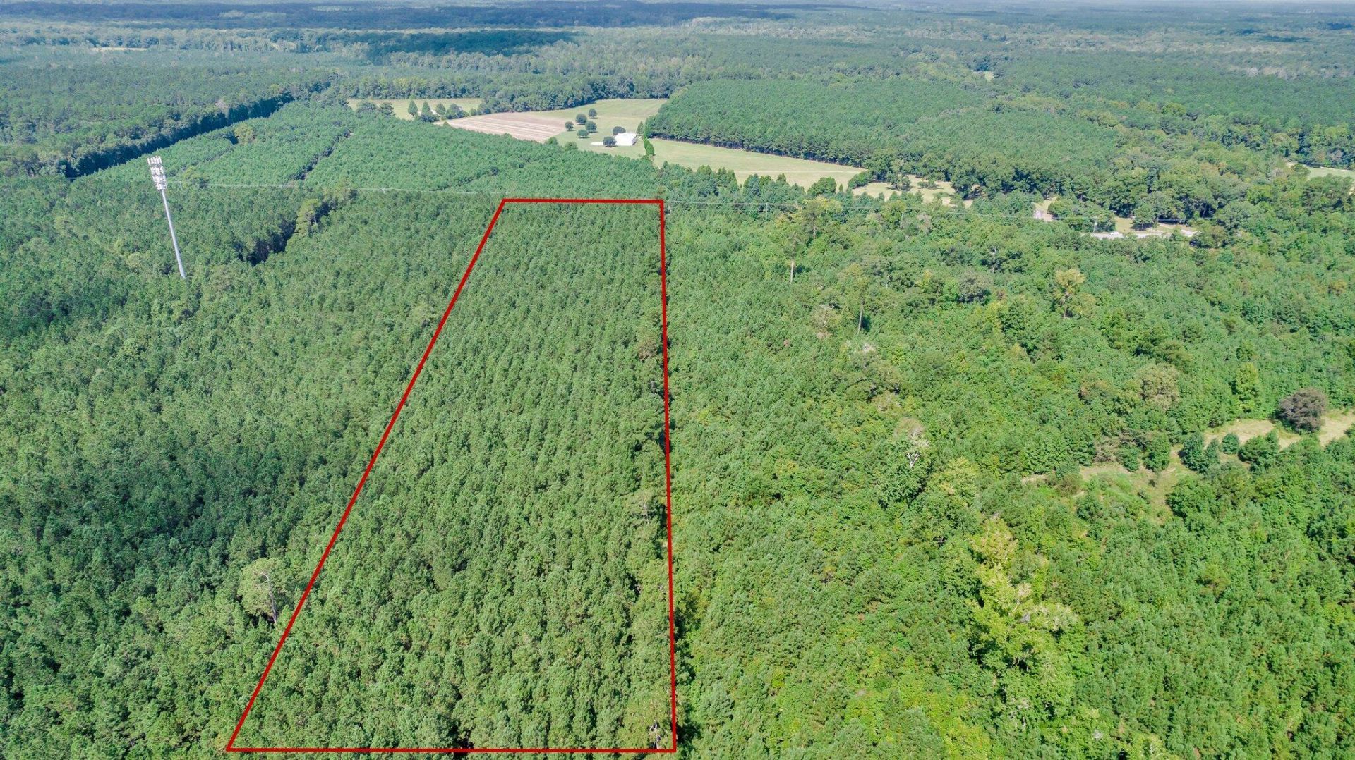 00 Jedburg Road  Photo 9