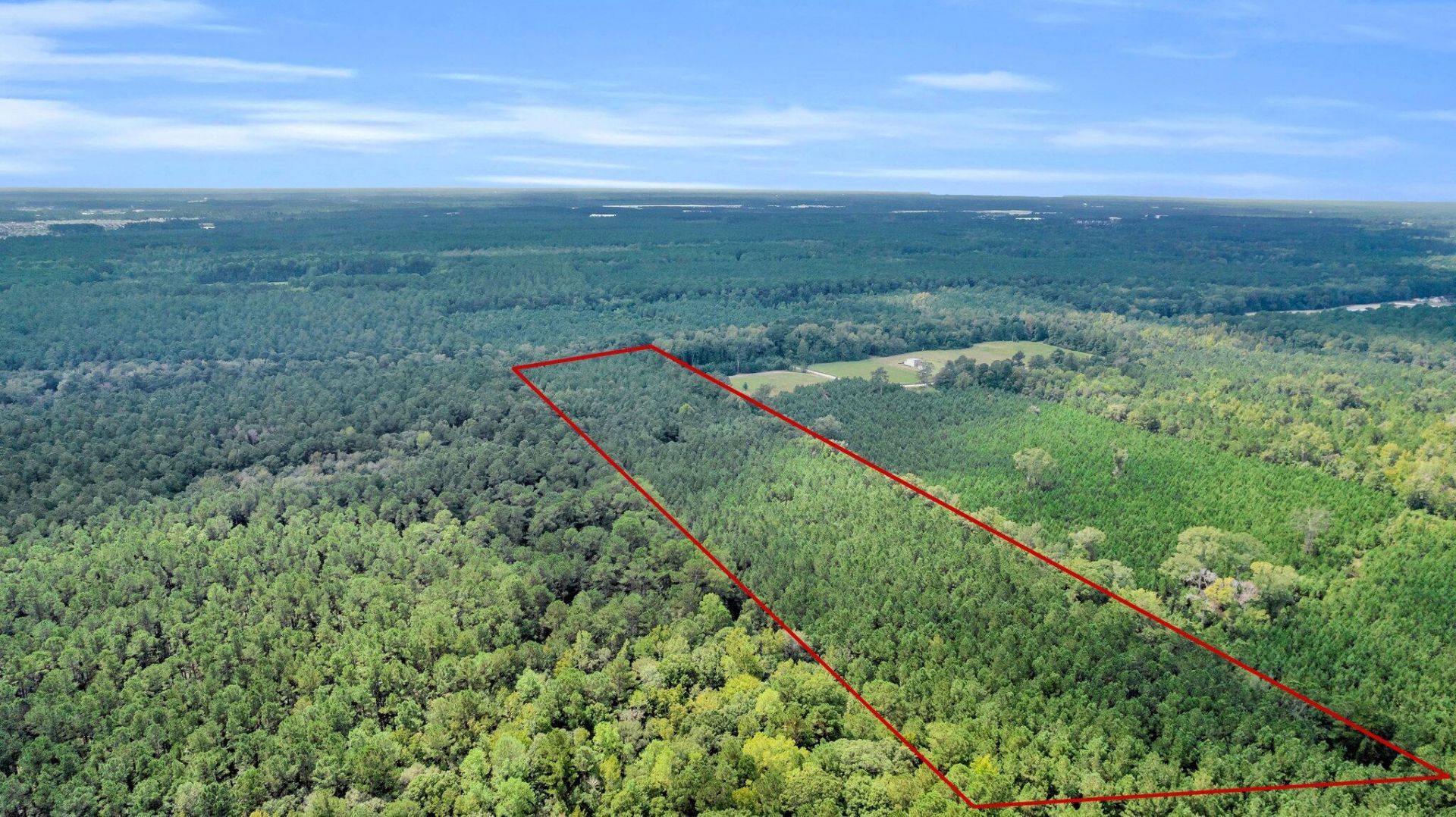 0 Sheep Island Road Photo 12