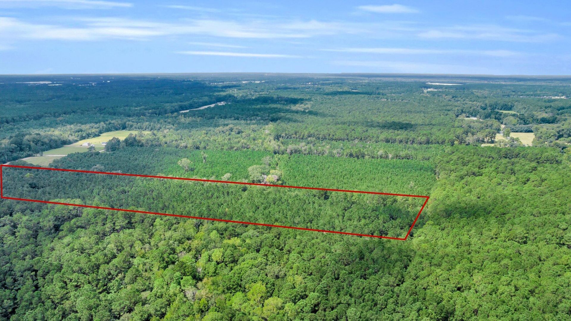 0 Sheep Island Road Photo 13