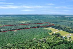 0 Sheep Island Road photo 4