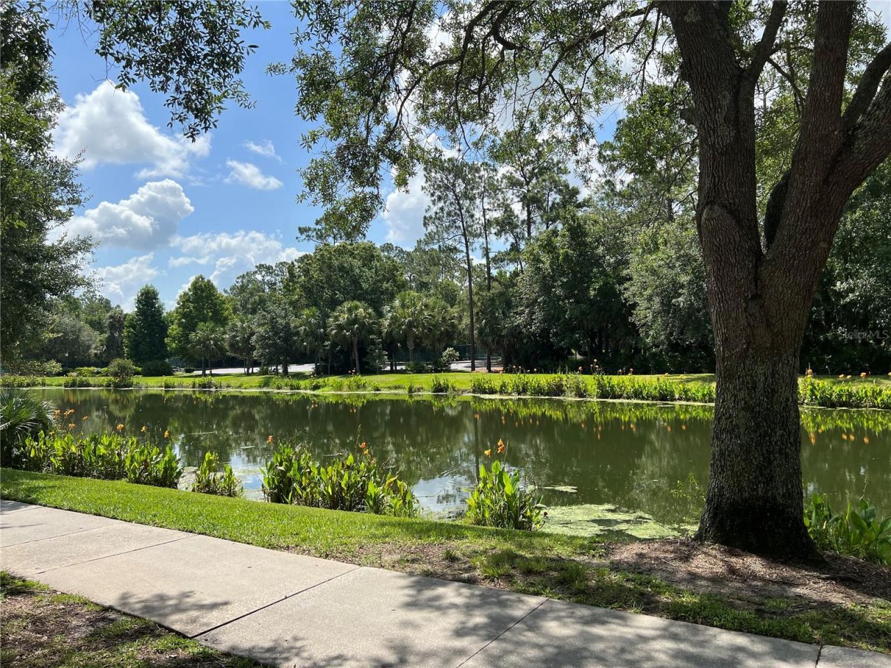 619 Front Street, Unit 3104, Celebration, FL 34747 Photo