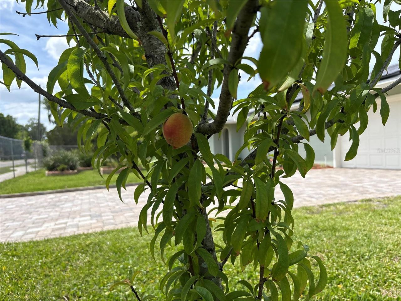 8595 Millinockett Lane, Orlando, FL 32825 Photo