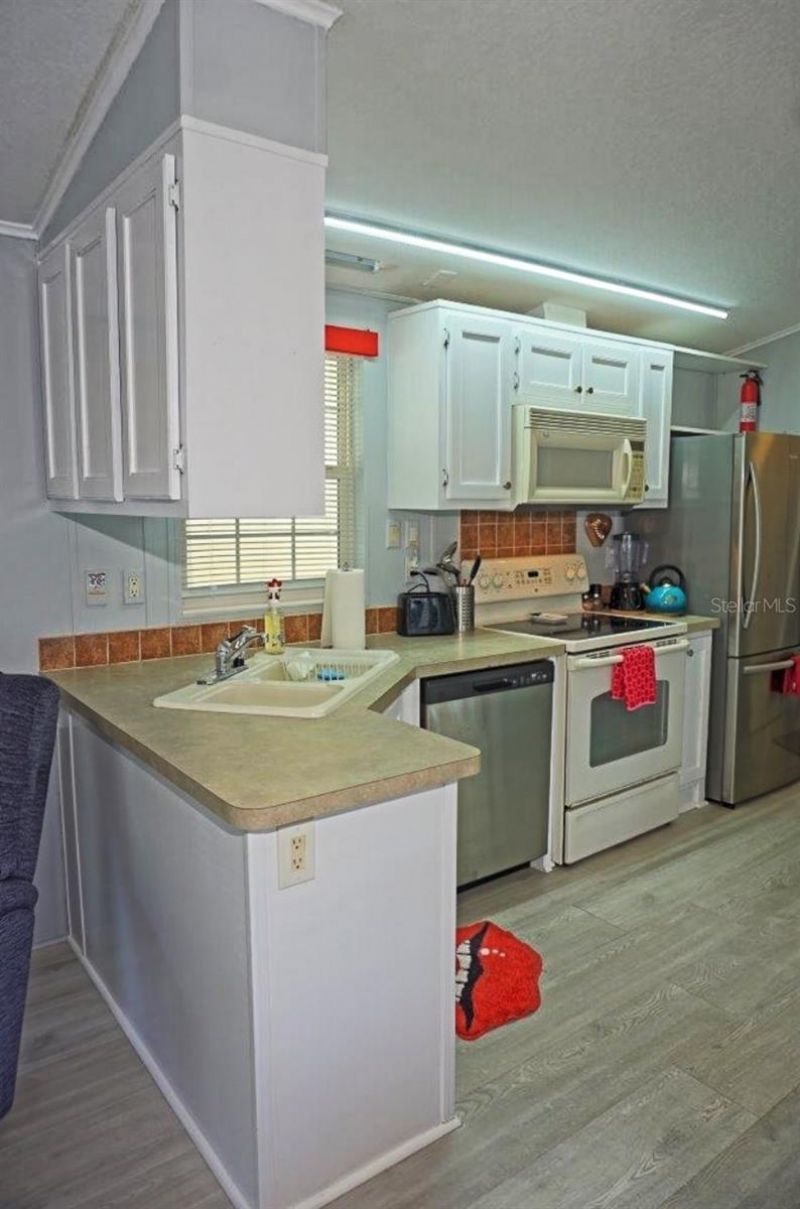 21183 Lazy Days Circle, Lutz, FL 33558 Photo