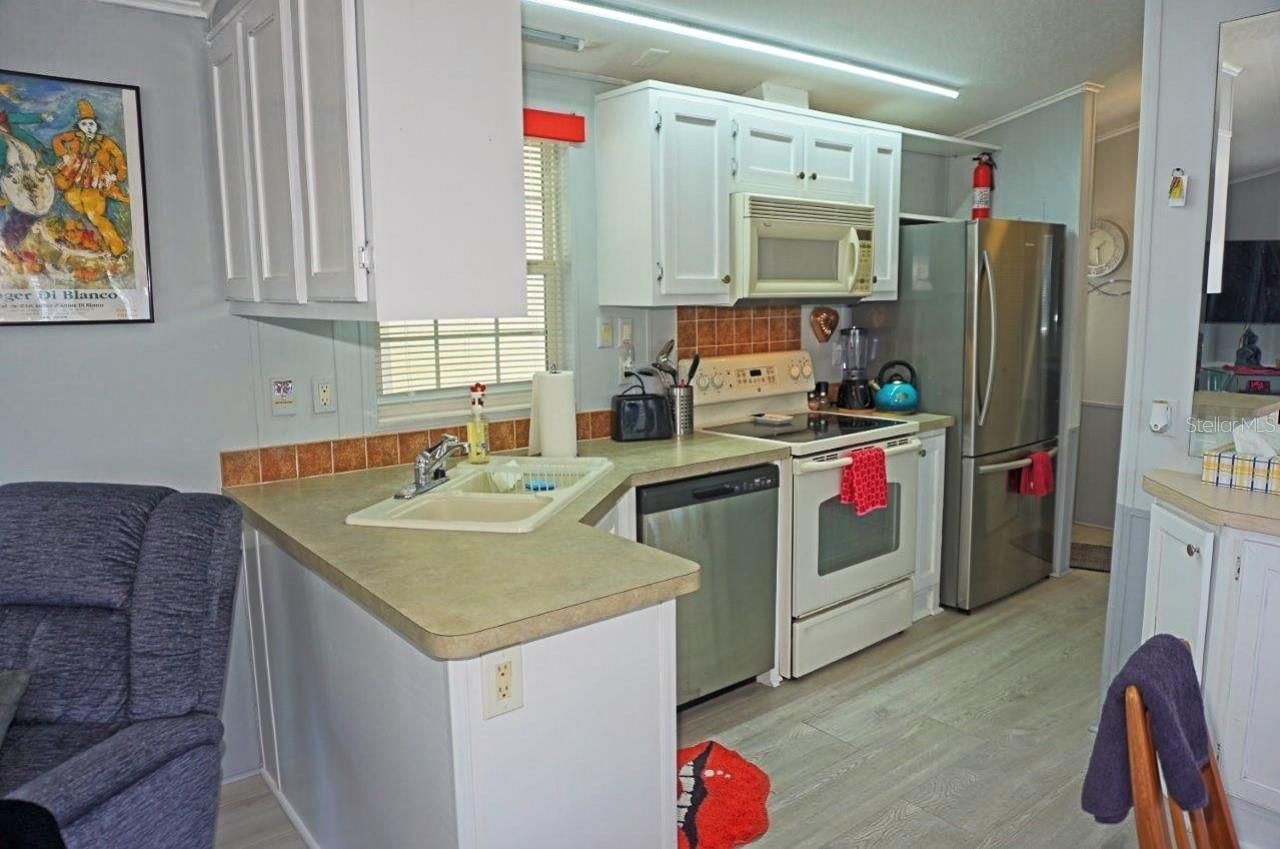 21183 Lazy Days Circle, Lutz, FL 33558 Photo