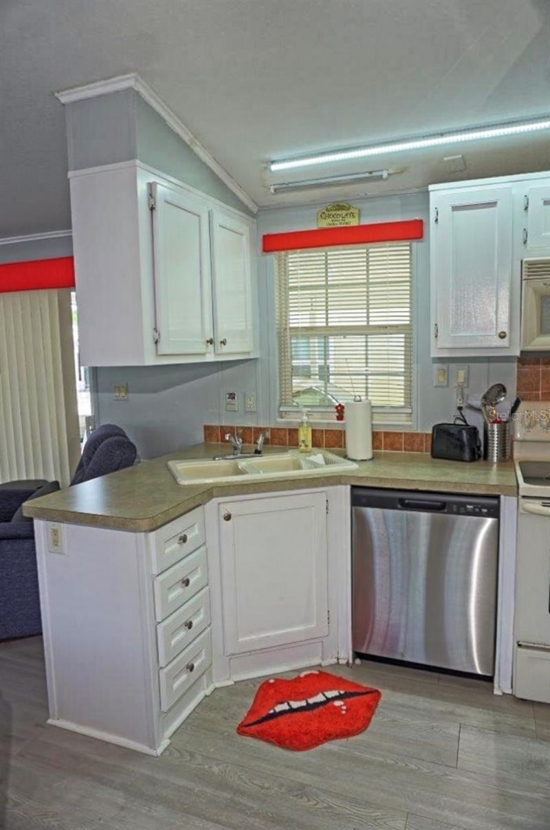 21183 Lazy Days Circle, Lutz, FL 33558 Photo