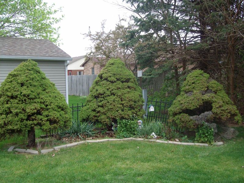 1316 Michael Avenue, Celina, OH 45822 Photo 7