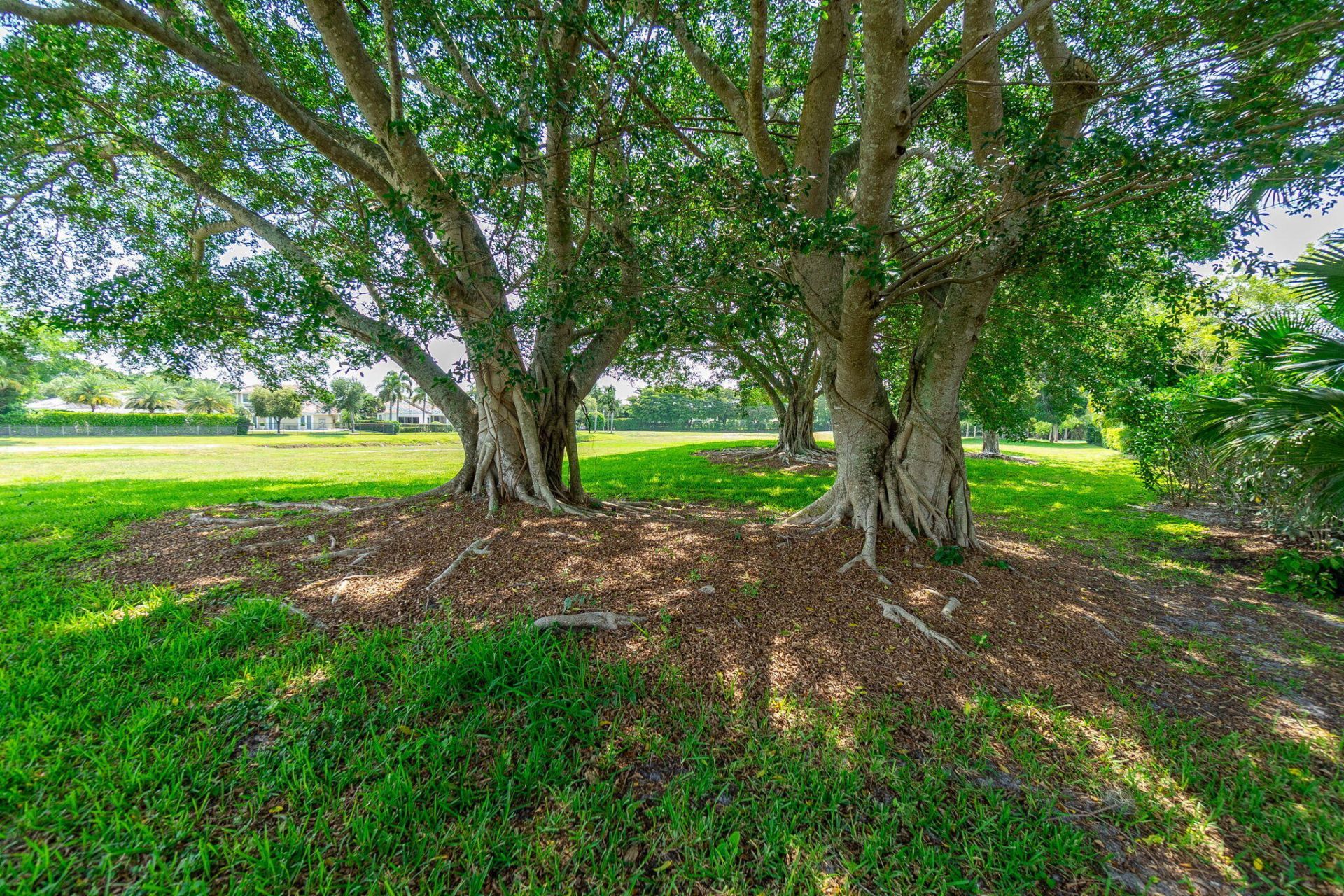 2658 Players Court, Wellington, FL 33414 Photo