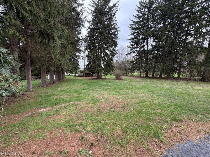 1133 Bellview Street NE, Canton, OH 44721 Photo 11