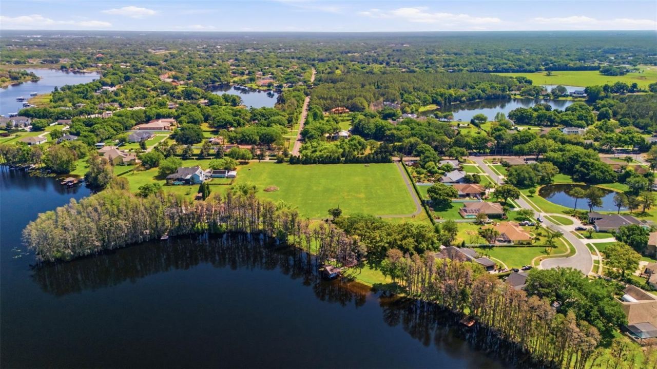 820 Newberger Road, Lutz, FL 33549 Photo