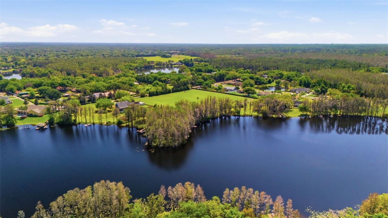 820 Newberger Road, Lutz, FL 33549 Photo