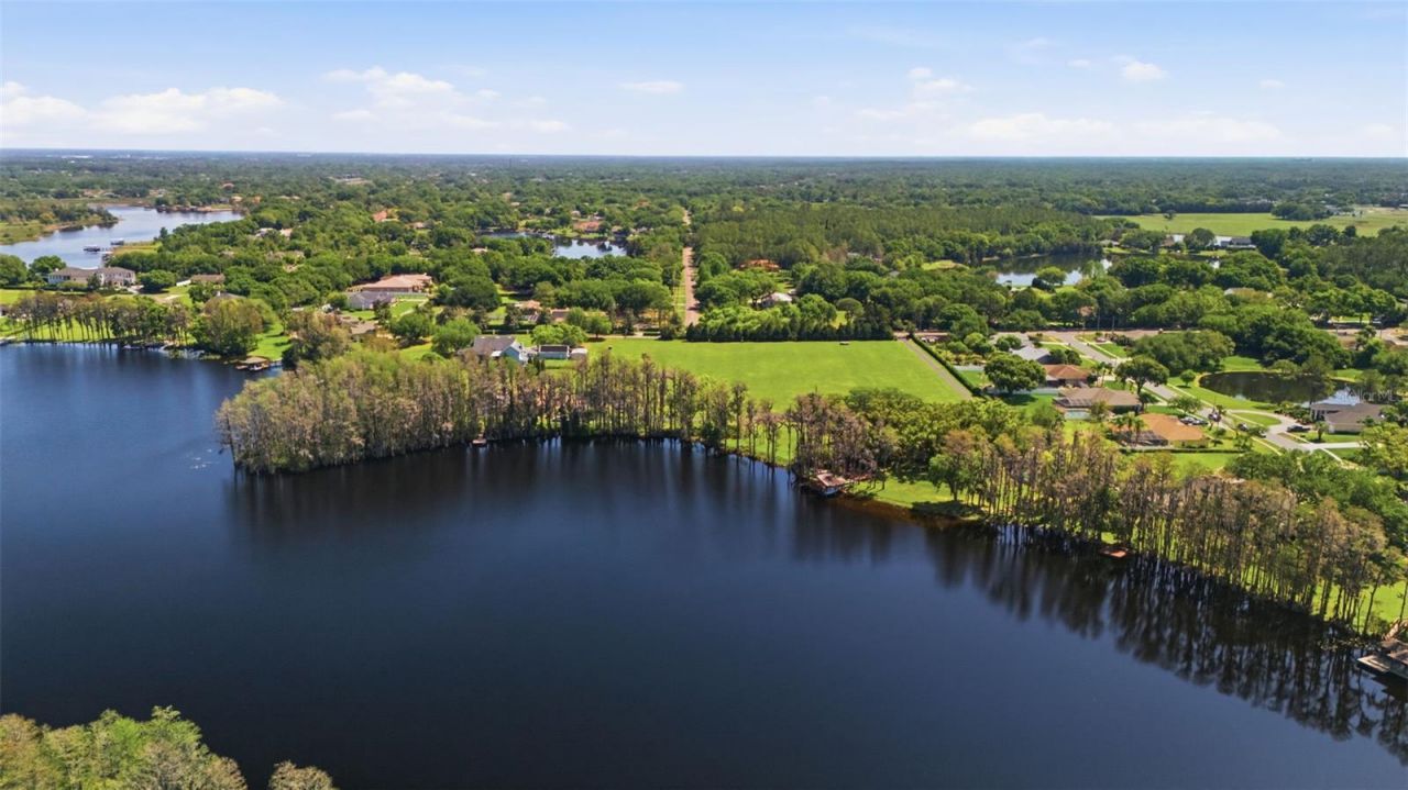 820 Newberger Road, Lutz, FL 33549 Photo