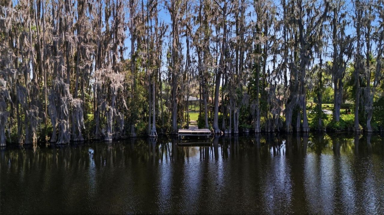 820 Newberger Road, Lutz, FL 33549 Photo