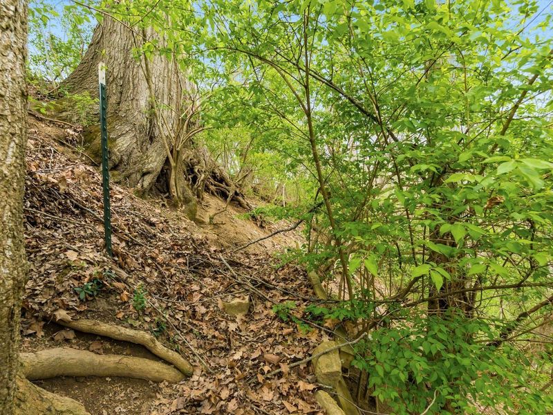 1290 S Sunbury Road, Westerville, OH 43081 Photo 63