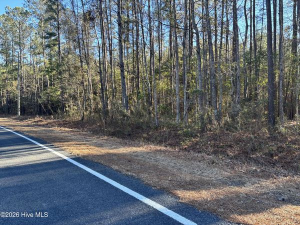 0 Biggs Road, Rowland, NC 28383