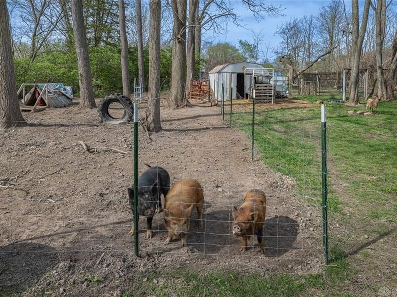 5654 W National Road, Bethel Township, OH 45504 Photo 25