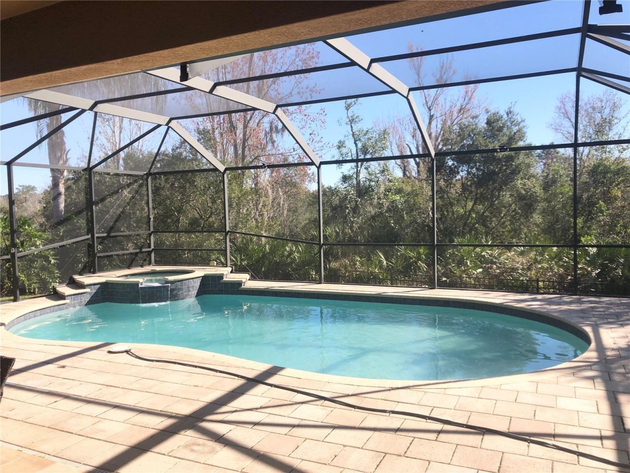 19125 Sweet Clover Lane, Tampa, FL 33647 Photo