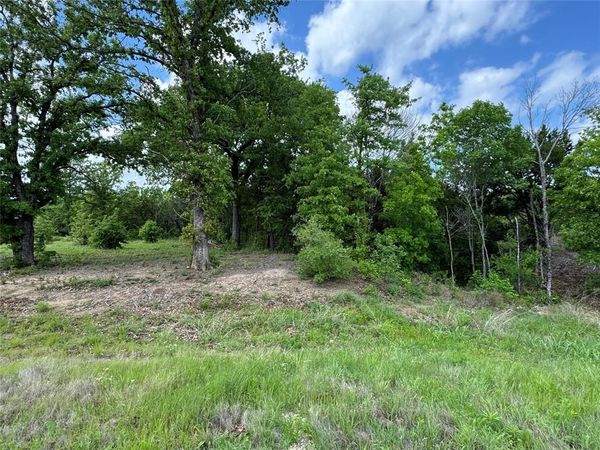 1017 Cedar Hill Drive, Nemo, TX 76070