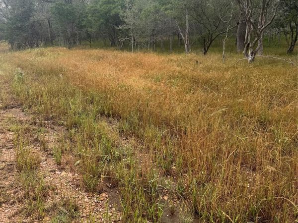 107 Hauula CT, Bastrop, TX 78602