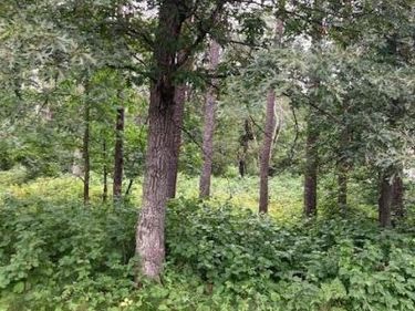 Lot 39 & 40 Owl Circle, Breezy Point, MN 56472