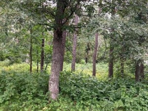 Lot 39 & 40 Owl Circle , Breezy Point, MN 56472