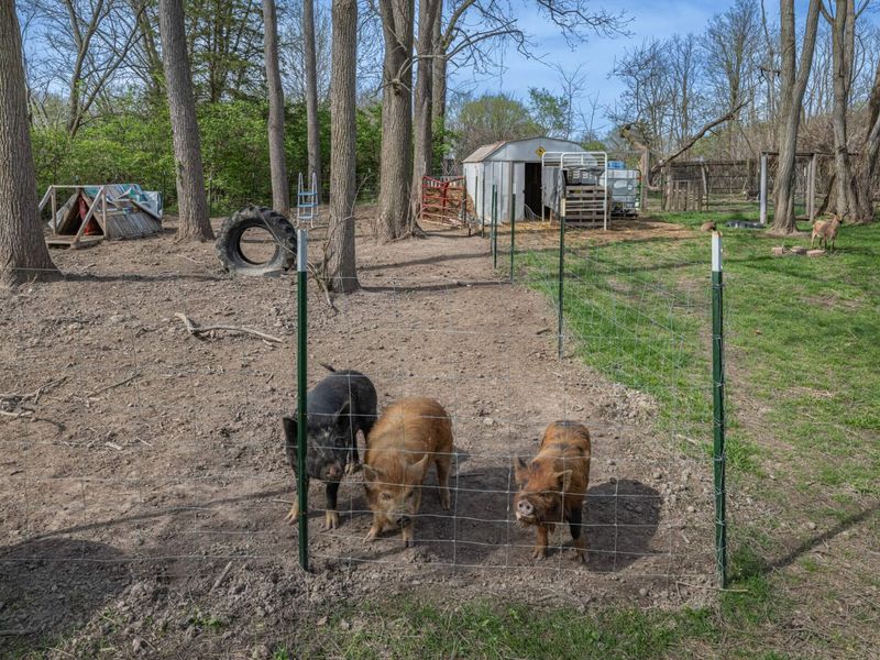 5654 W National Road, Springfield, OH 45504 Photo 25