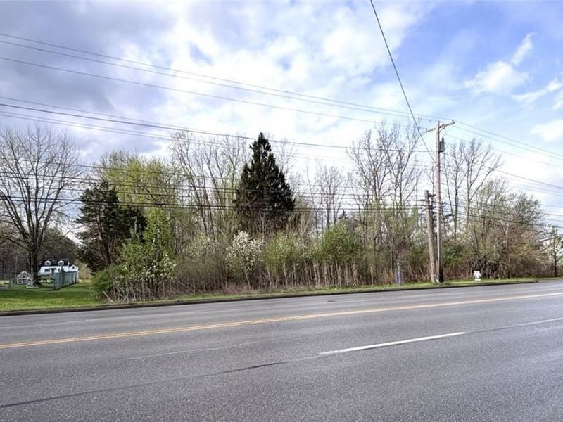 43033 N Ridge Road, Elyria, OH 44035 Photo 5