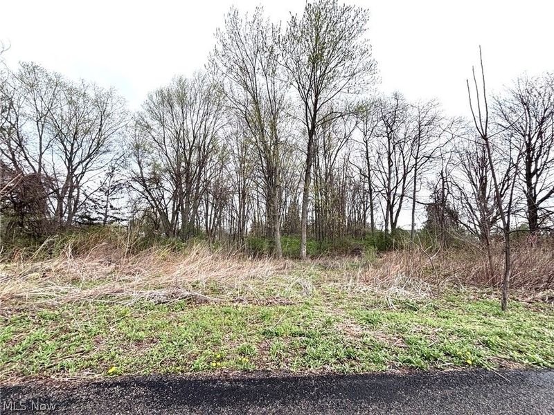 43033 N Ridge Road, Elyria, OH 44035 Photo 7