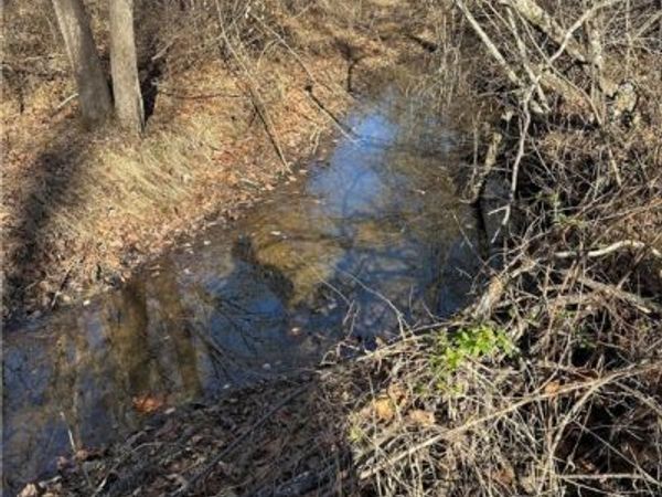 Lot 1 Secretarys Sand Road, Schuyler, VA 22969