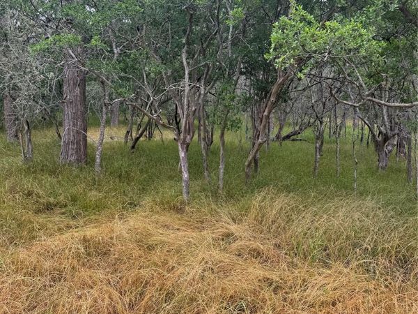 109 Hauula CT, Bastrop, TX 78602