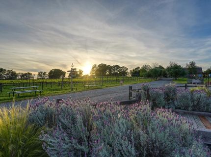 7505 Wise Rd, Auburn, CA 95603 Photo