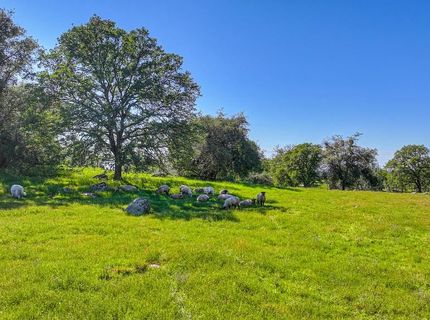 7505 Wise Rd, Auburn, CA 95603 Photo