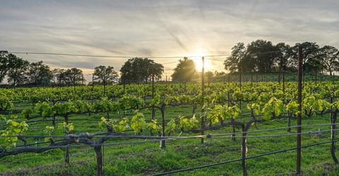 7505 Wise Rd, Auburn, CA 95603 Photo